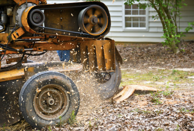 stump removal in indiana